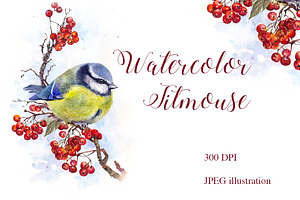 SALE! Watercolor Titmouse Great tit