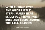 Marsh Hen Fonts, a Sans Serif Font by Fairwren Creative (Thumbnail 7 of 7)