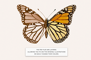 Vintage Butterflies Illustrations, an Animal Illustration by MargauxQuercy (Thumbnail 4 of 7)