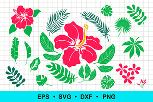 Hibiscus | Tropical leaves | Vector