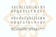 Ruana Modern Condensed Sans Font, a Sans Serif Font by Rasio Studio (Thumbnail 2 of 11)