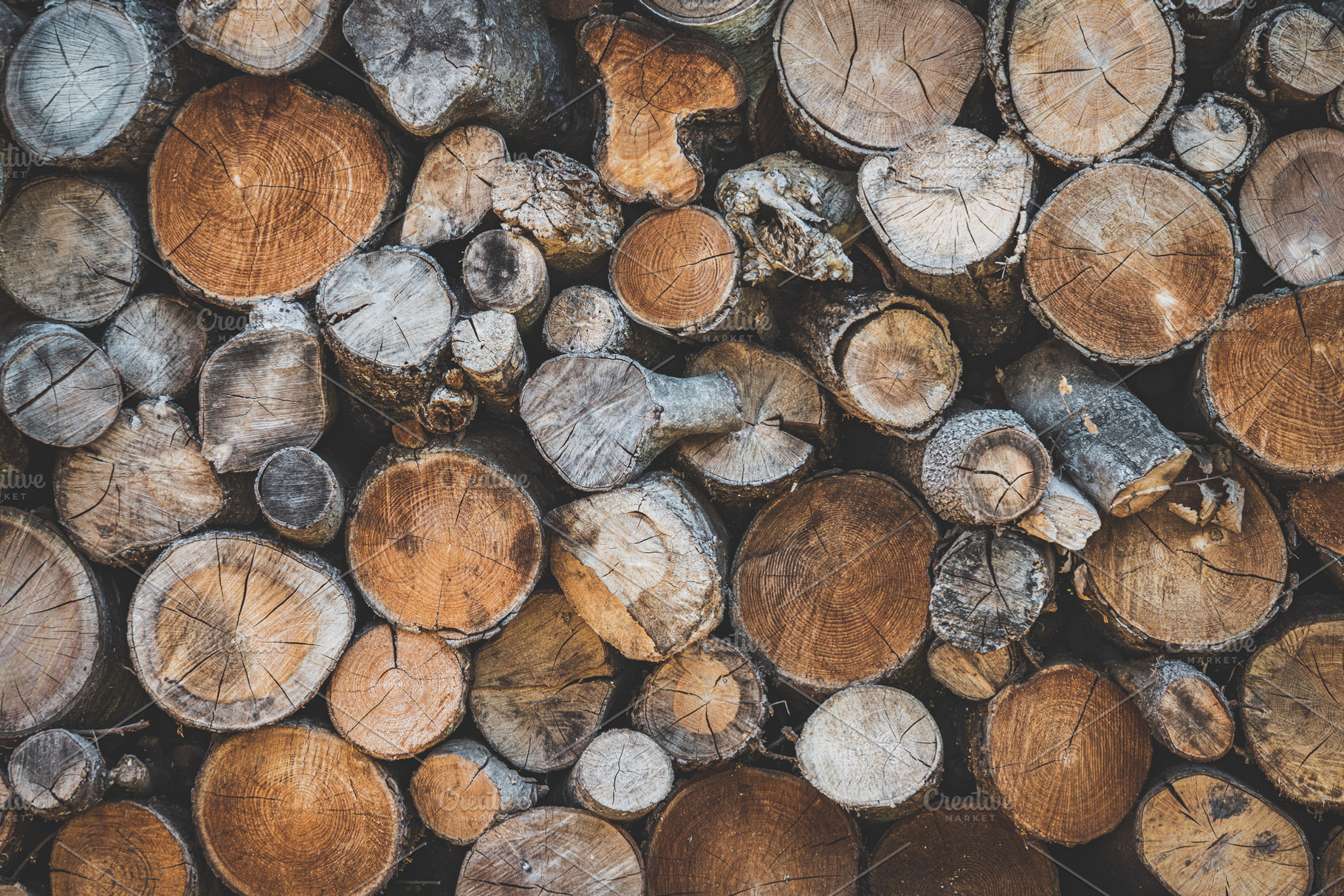 Stacked wood logs stock photo containing stacked wood logs and nature, a Nature Photo by Visual Motiv