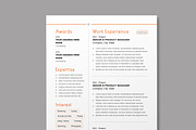 Clean Resume, a Resume Template by MightyDesign (Thumbnail 4 of 8)