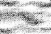 Grunge Halftone Textures, a Texture Graphic by alexdndz (Thumbnail 8 of 11)
