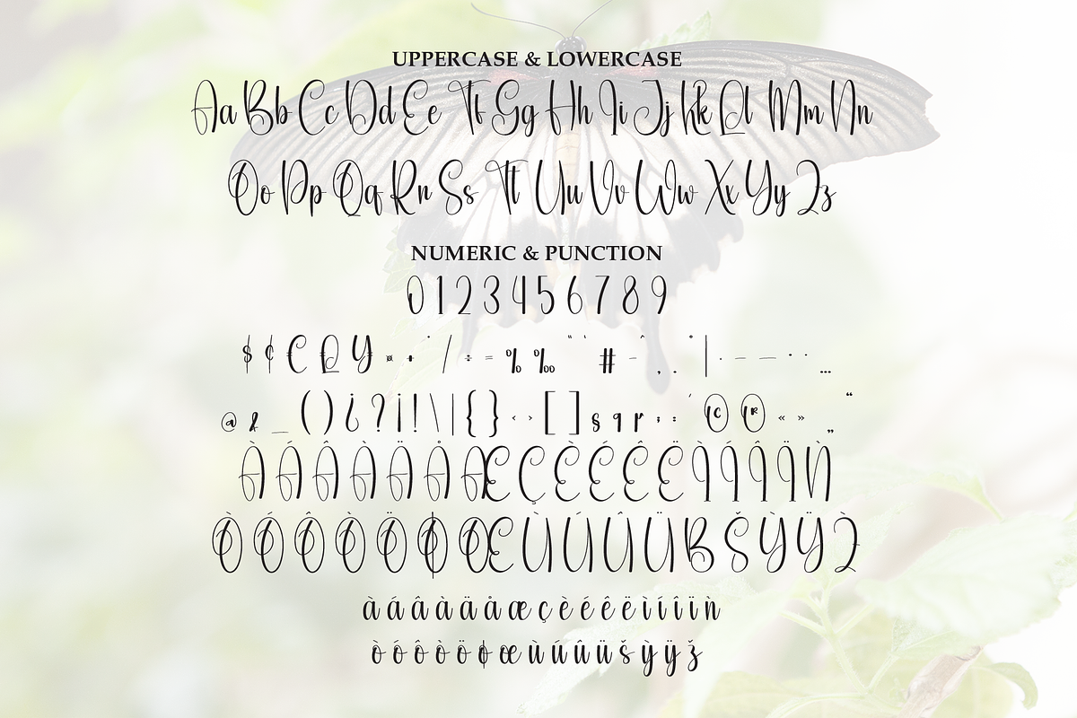 Butterfly | Script Font, a Handwritten Font by Scratchones (Photo 7 of 9)