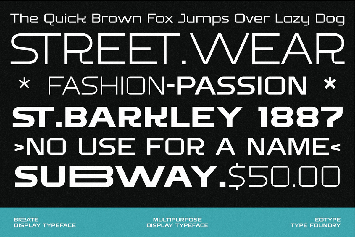 Brate, a Sans Serif Font by Eotype Studio (Photo 5 of 12)