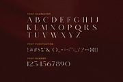 Casero Elegant Serif Font, a Serif Font by Graphicxell (Thumbnail 7 of 8)