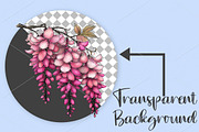 Watercolor Spring Flower Clipart PNG, an Illustration by Canvas Craft (Thumbnail 2 of 7)