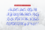 Yureika Glasious Classic Script, a Script Font by gracetype_studio (Thumbnail 9 of 11)