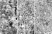 GSTC - Stone bench textures, a Texture Graphic by The Shop (Thumbnail 34 of 80)