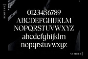 Radilen Aveline, a Serif Font by Dora Typefoundry (Thumbnail 15 of 18)