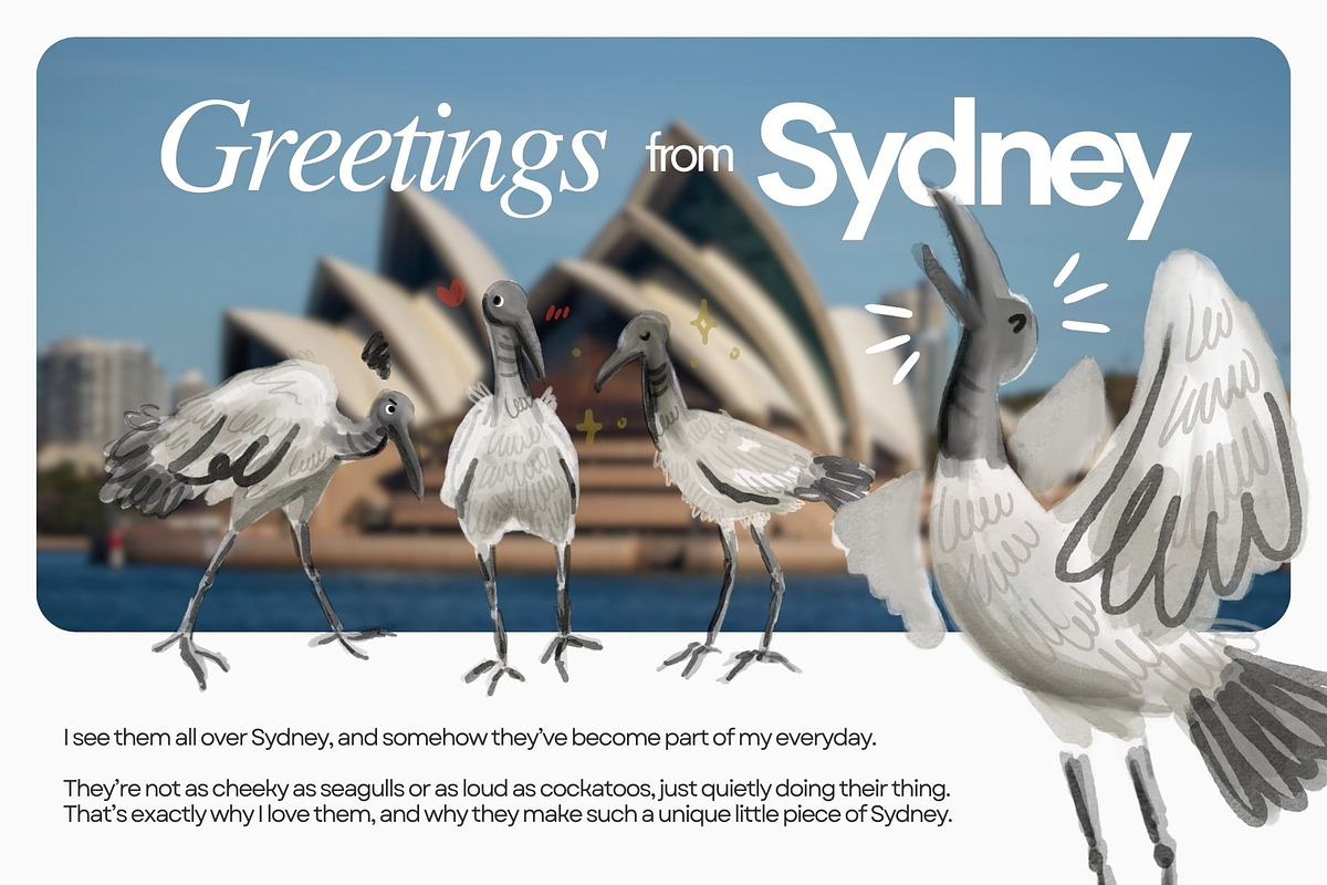 4 Bin Chicken (Ibis) Illustrations, an Animal Illustration by ghodzilla_draws (Photo 2 of 3)