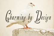 Krample Yards - Artisanal Soul, a Script Font by HypeWorksCo (Thumbnail 17 of 21)