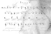 Briosh, a Script Font by Larin Type Co. (Thumbnail 11 of 12)