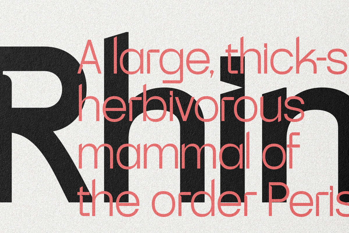 SLTF Skyling - Geometric Typeface, a Sans Serif Font by SilverStag Type Foundry (Photo 7 of 25)