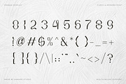 Franka - Modern Curvy & Wavy Font, a Sans Serif Font by Kahade Studio (Thumbnail 19 of 20)
