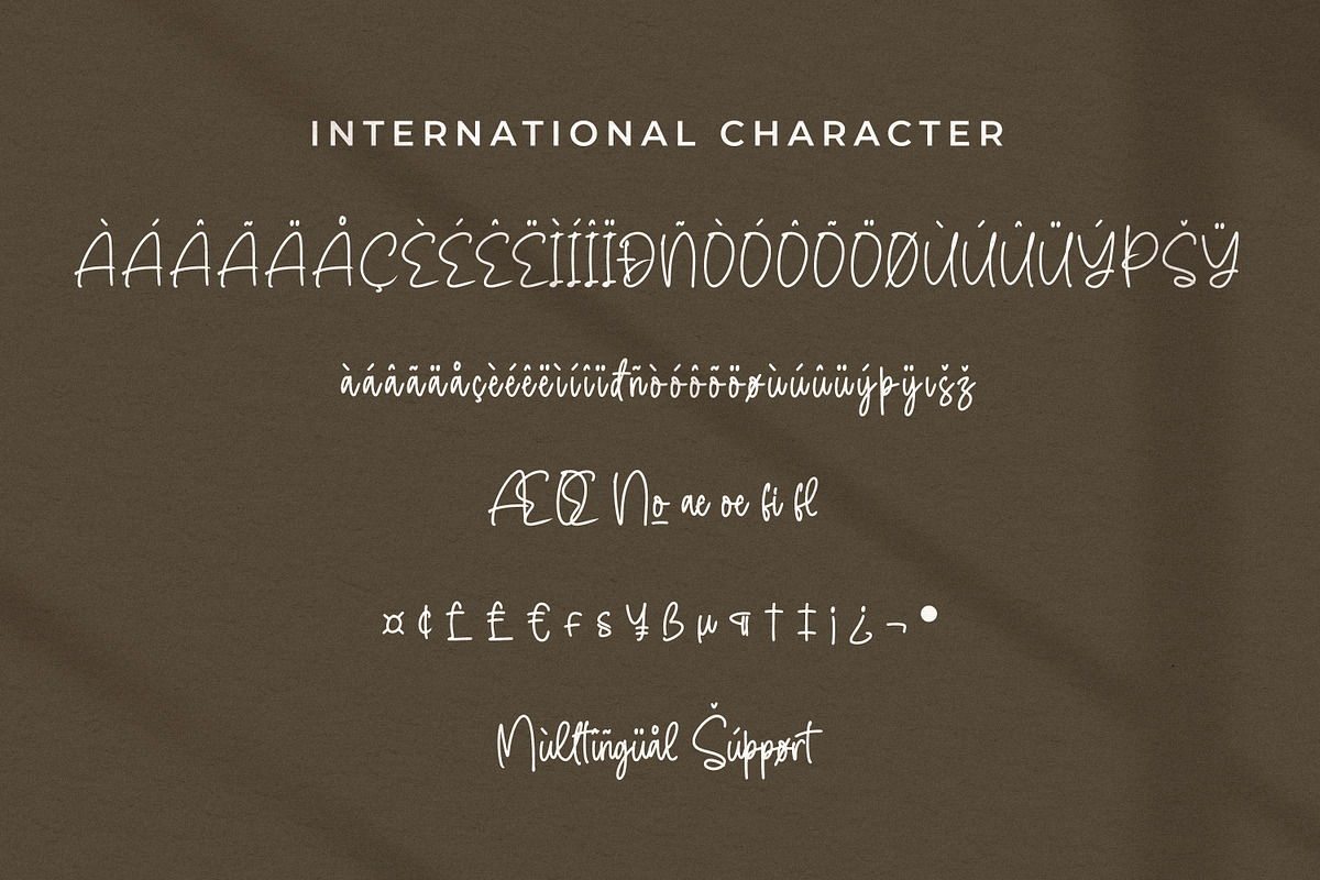 Menttally Weignota, a Script Font by Integritype Studio (Photo 10 of 15)