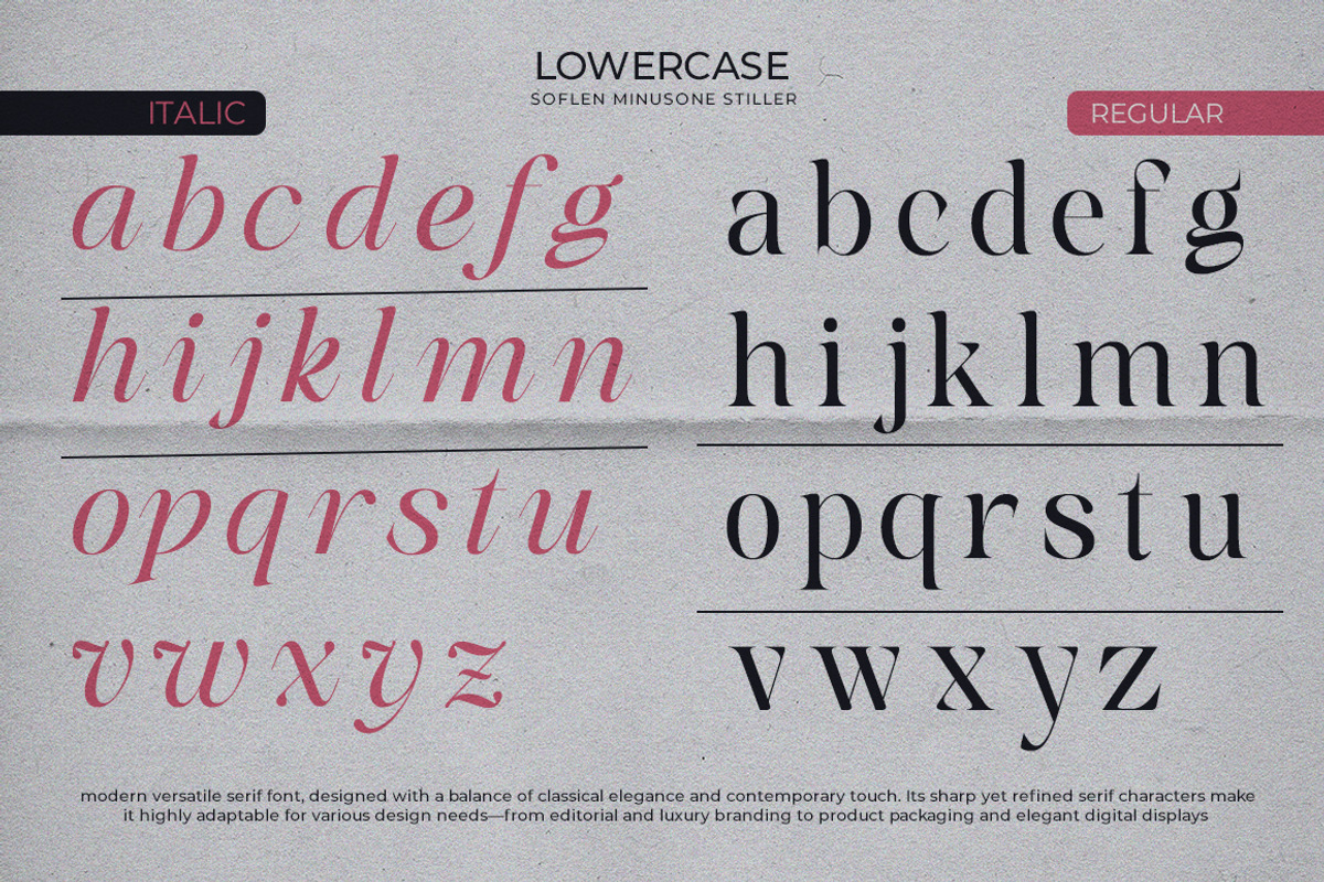 Softlen Minusone Stiller | 6 Update, a Serif Font by Natural Ink Studio (Photo 11 of 15)