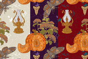 Pumpkin, Hawk Moth, Kerosene Lamp