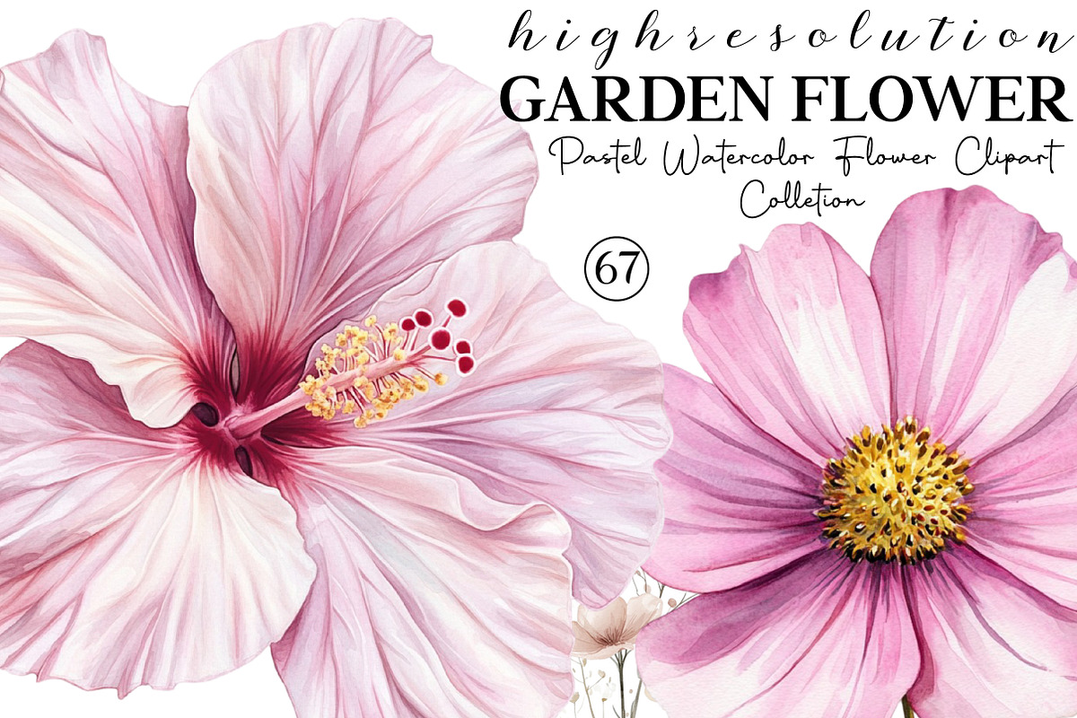 Pastel Watercolor Flower Clipart, an Illustration by DreamCafeArt (Photo 1 of 8)