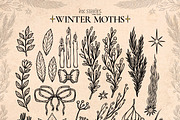 Winter Moths & Evergreen Botanicals, a Seasonal Illustration by Ink Stories (Thumbnail 5 of 15)