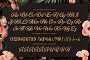 Numberline Ordinary - Script Font, a Script Font by Graphicxell (Thumbnail 4 of 10)