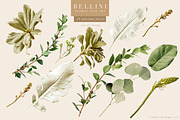Bellini Floral Clip Art Collection, an Object Graphic by Eclectic Anthology (Thumbnail 17 of 17)
