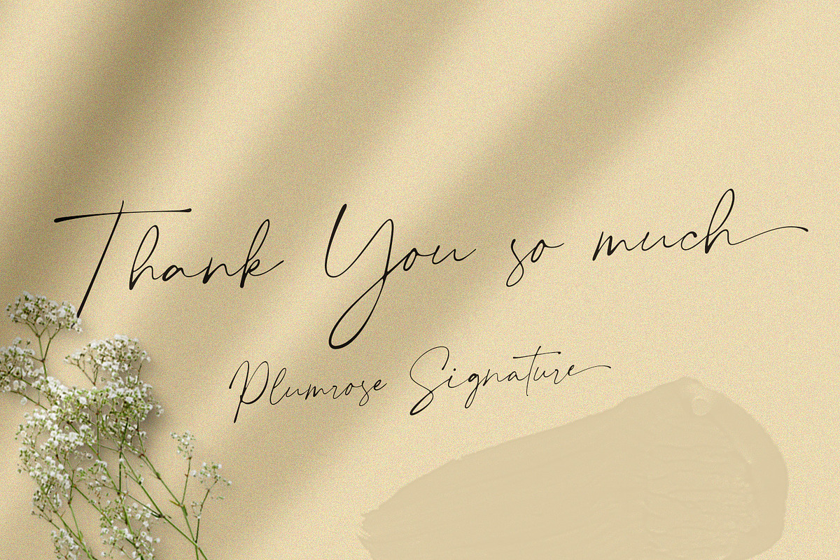 Plumrose Signature Script Font, a Script Font by Typetemp Studio (Photo 11 of 11)