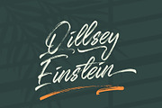 Qillsey Einstein - Handbrush, a Script Font by Monoco Type Foundry (Thumbnail 12 of 12)