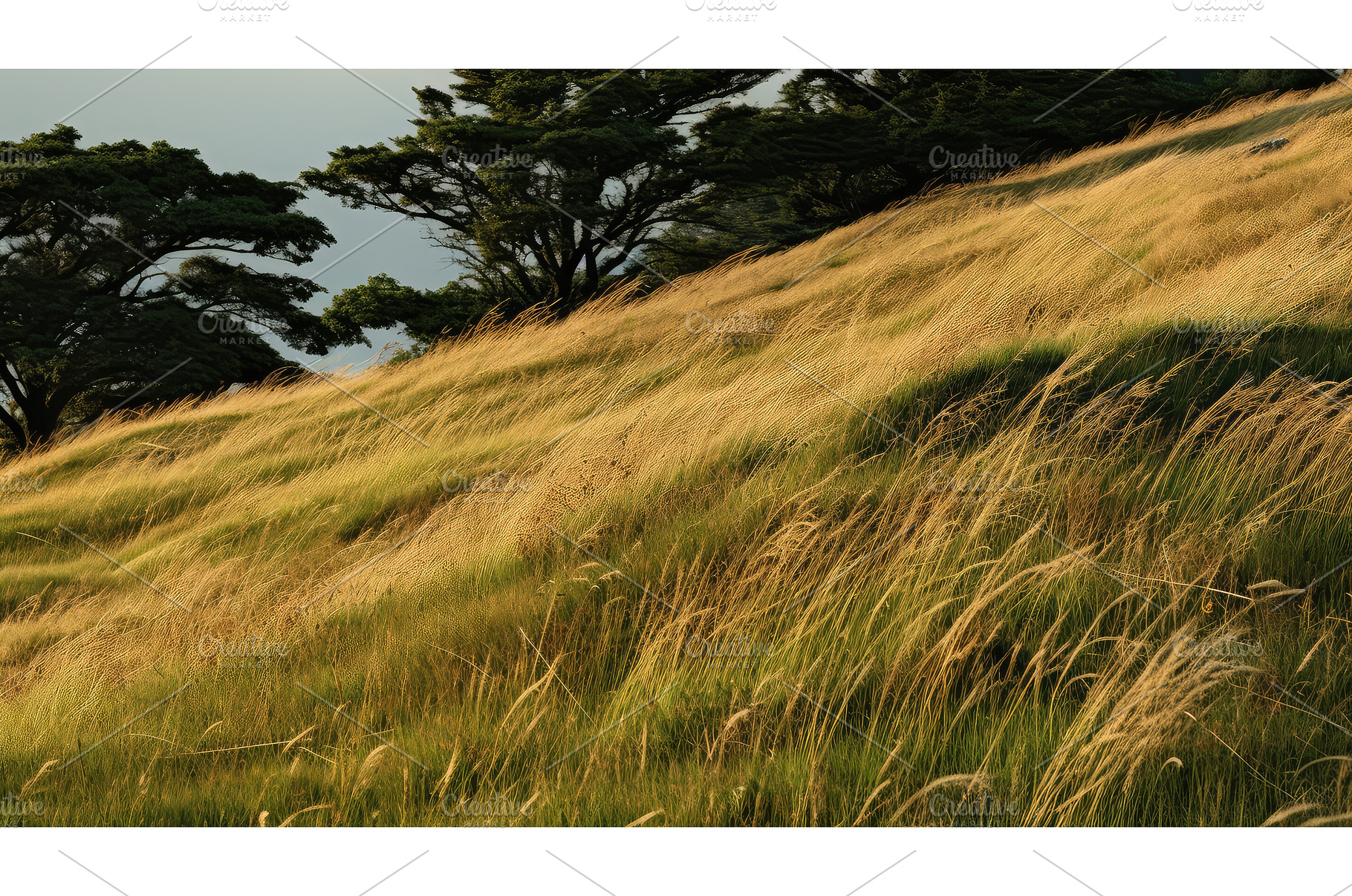 nature brown grass ai generated, a Background Photo by pikepicture