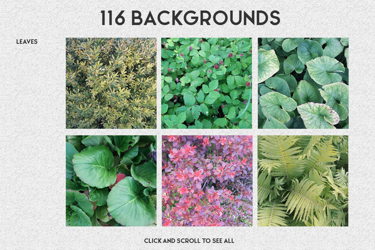 Natural Background Post Generator, a Social Media Template by WBS Design (Photo 2 of 11)