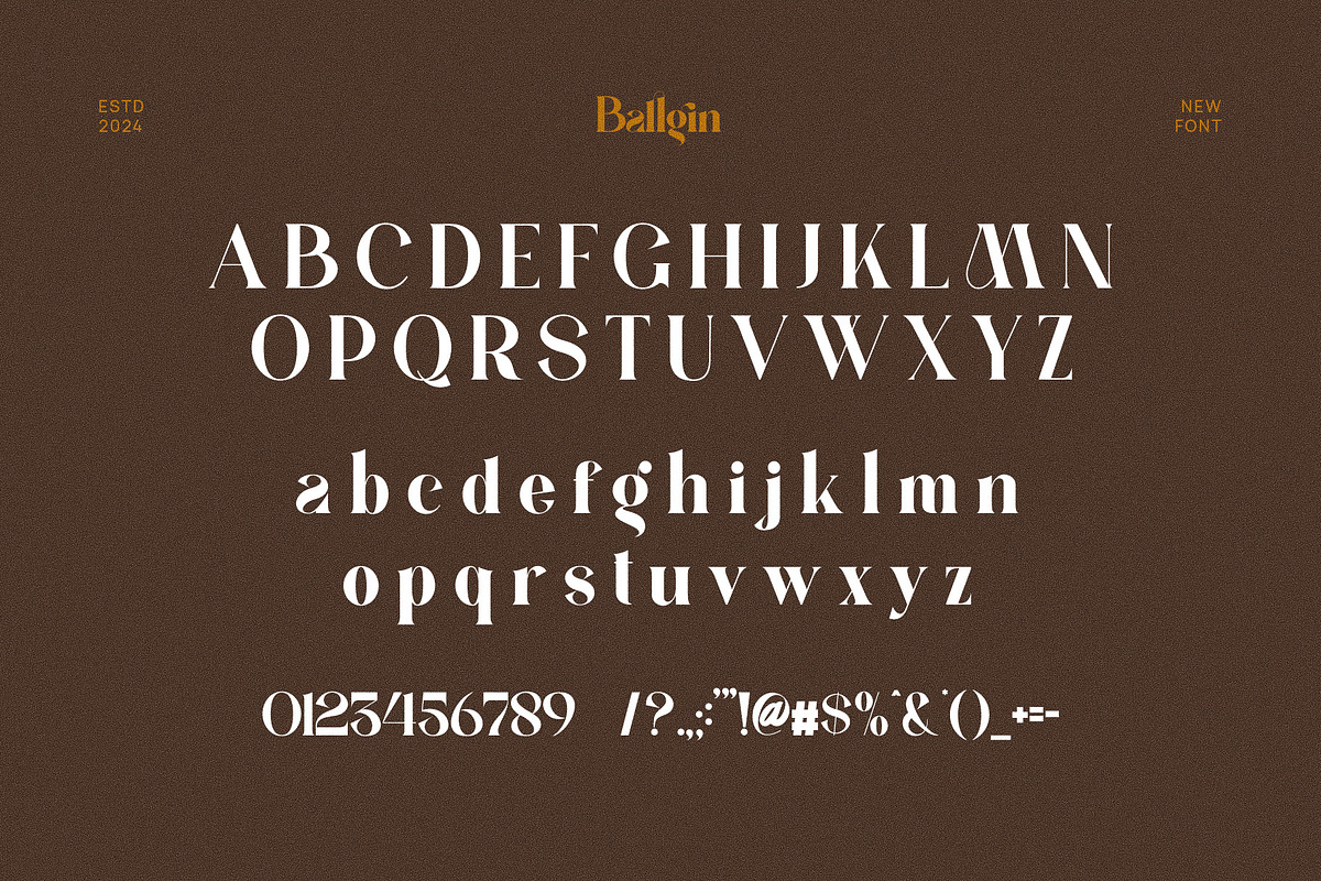 Ballgin Elegant Ligature Serif Font, a Serif Font by Perfectype (Photo 6 of 6)