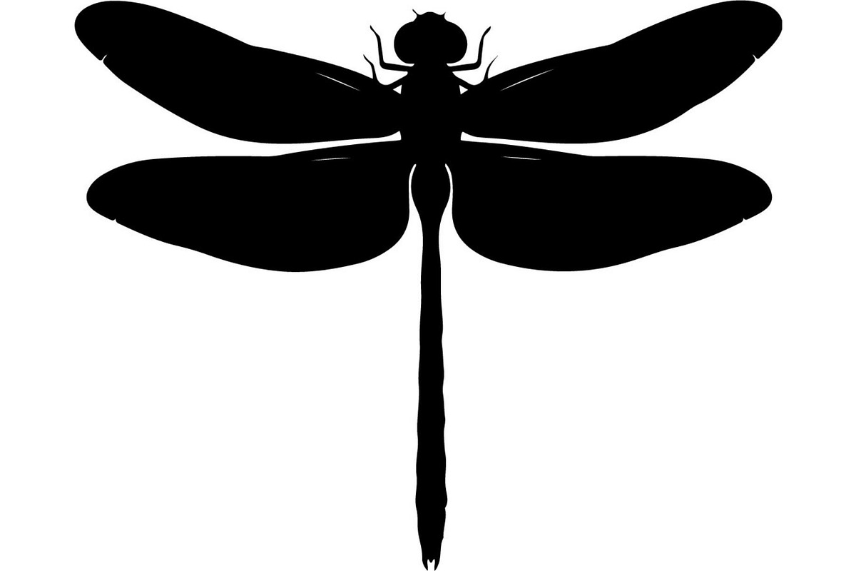 20 Dragonfly Silhouette Mega, an Object Graphic by Designer_Momina (Photo 10 of 19)