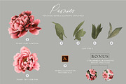 Peonies PNG Elements & Pattern, a Pattern Graphic by Artifactory Studios (Thumbnail 4 of 7)