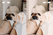 Lightroom Presets Natural Film Edit, an Action Add-On by Best Lightroom Presets (Thumbnail 7 of 18)