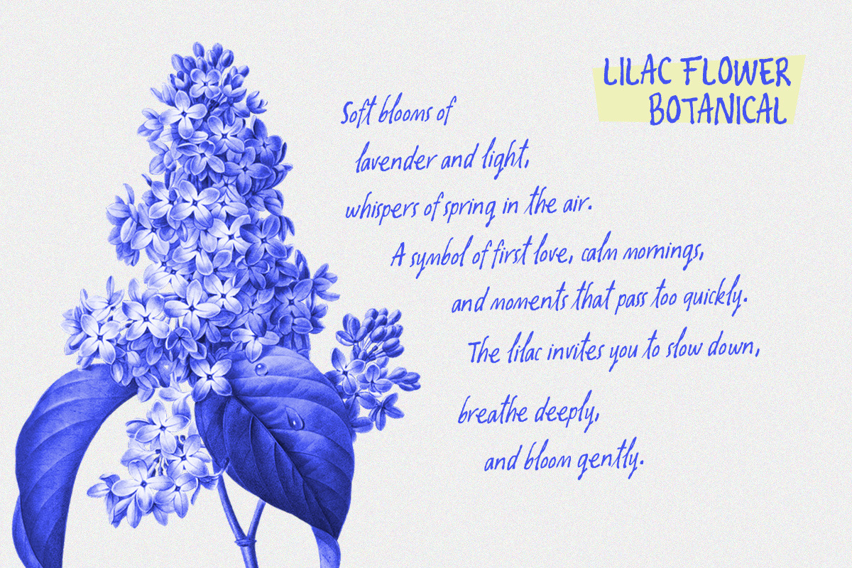 Oliver Whisper Messy Handwritten, a Handwritten Font by Letterhend Studio (Photo 2 of 12)