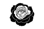 50 Black Rose Silhouette Vector Bund, an Illustration by Gaye Art (Thumbnail 43 of 51)