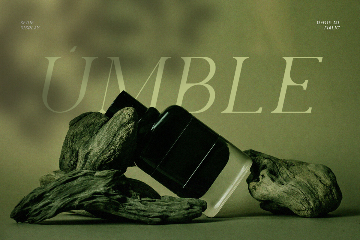 Levelly Luxury Premium Serif Font, a Serif Font by Artiveko (Photo 4 of 9)