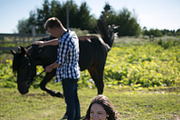Sunny Farm- 7 Lr presets, an Action Add-On by Graphics, Presets, Photos (Thumbnail 14 of 15)