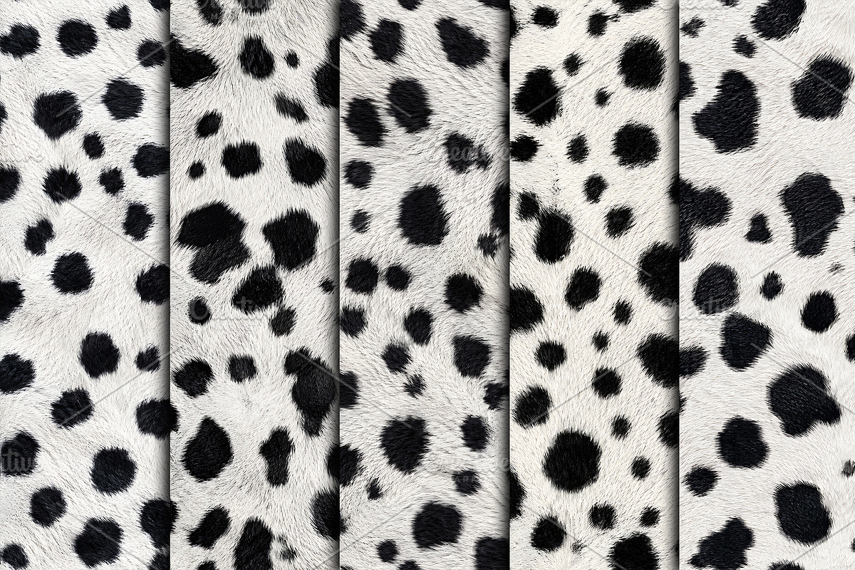 Realistic Dalmatian Fur Texture, a Pattern Graphic by Artonix (Photo 2 of 4)