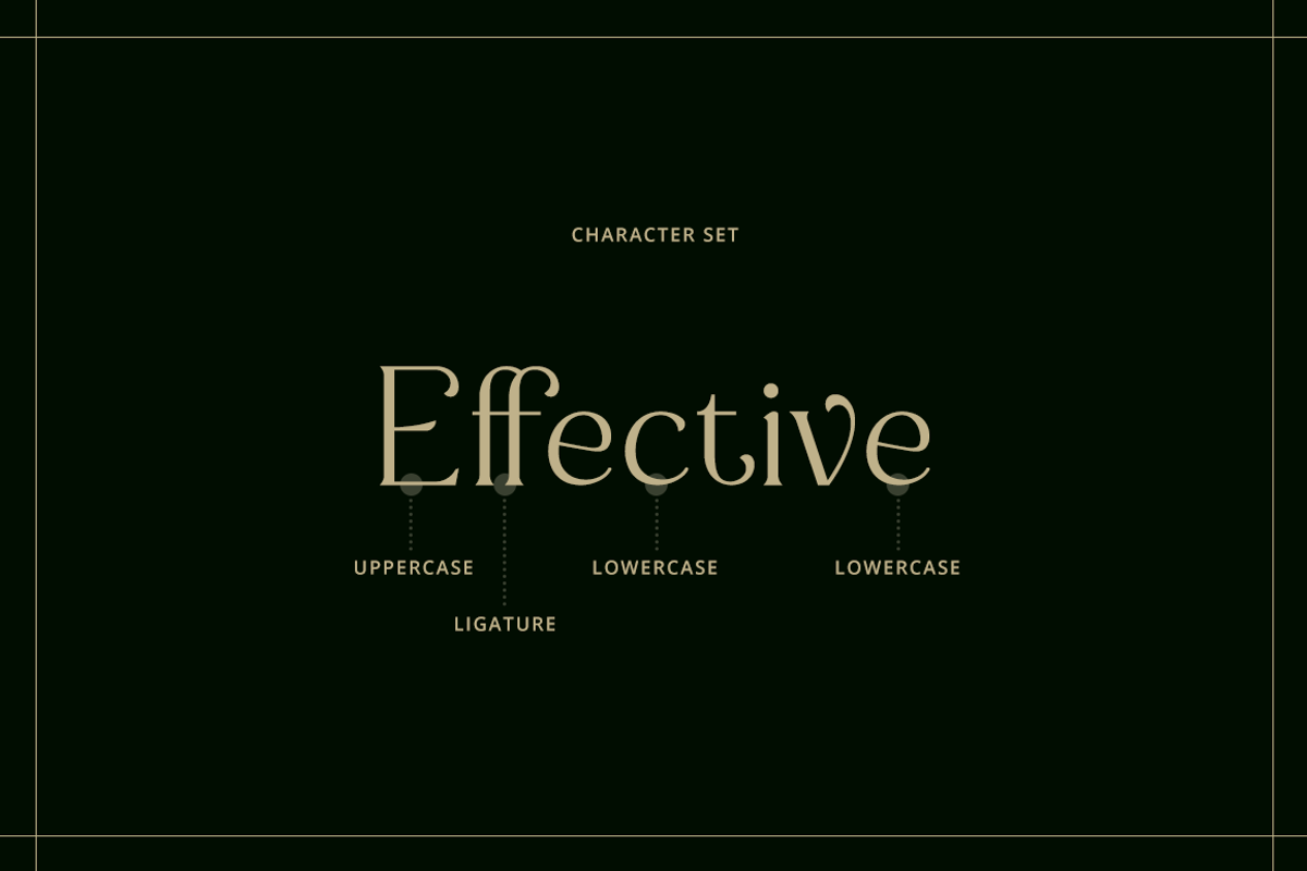 Figurative - Elegant Serif Font, a Serif Font by RockboyStd (Photo 4 of 12)