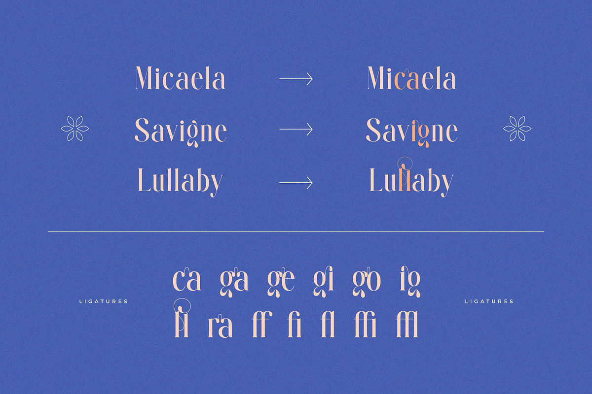 Maillore – Elegant & Stylish Serif, a Serif Font by BrandSemut (Photo 7 of 10)