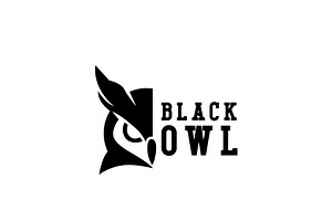 Black Owl Logo, a Branding & Logo Template by AlvinStd