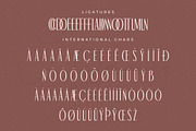 Hermooun Ligatures Sans Serif Font, a Sans Serif Font by Storytype Studio (Thumbnail 14 of 15)