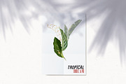 Watercolor Tropical Leaves, a Decorative Illustration by Damian Roh (Thumbnail 5 of 19)