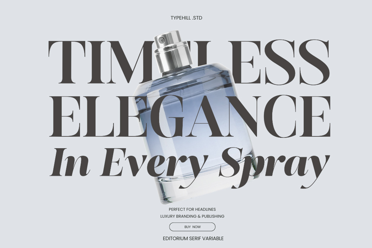 Editorium Serif, a Serif Font by Typehill (Photo 6 of 14)