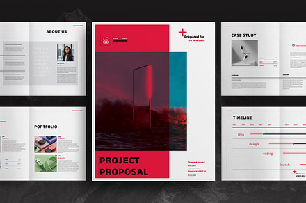 Red Project Proposal Brochure