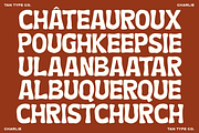 TAN - CHARLIE, a Handwritten Font by TanType (Thumbnail 4 of 14)