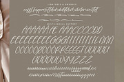 Goldbrush Delights, a Handwritten Font by Integritype Studio (Thumbnail 14 of 15)