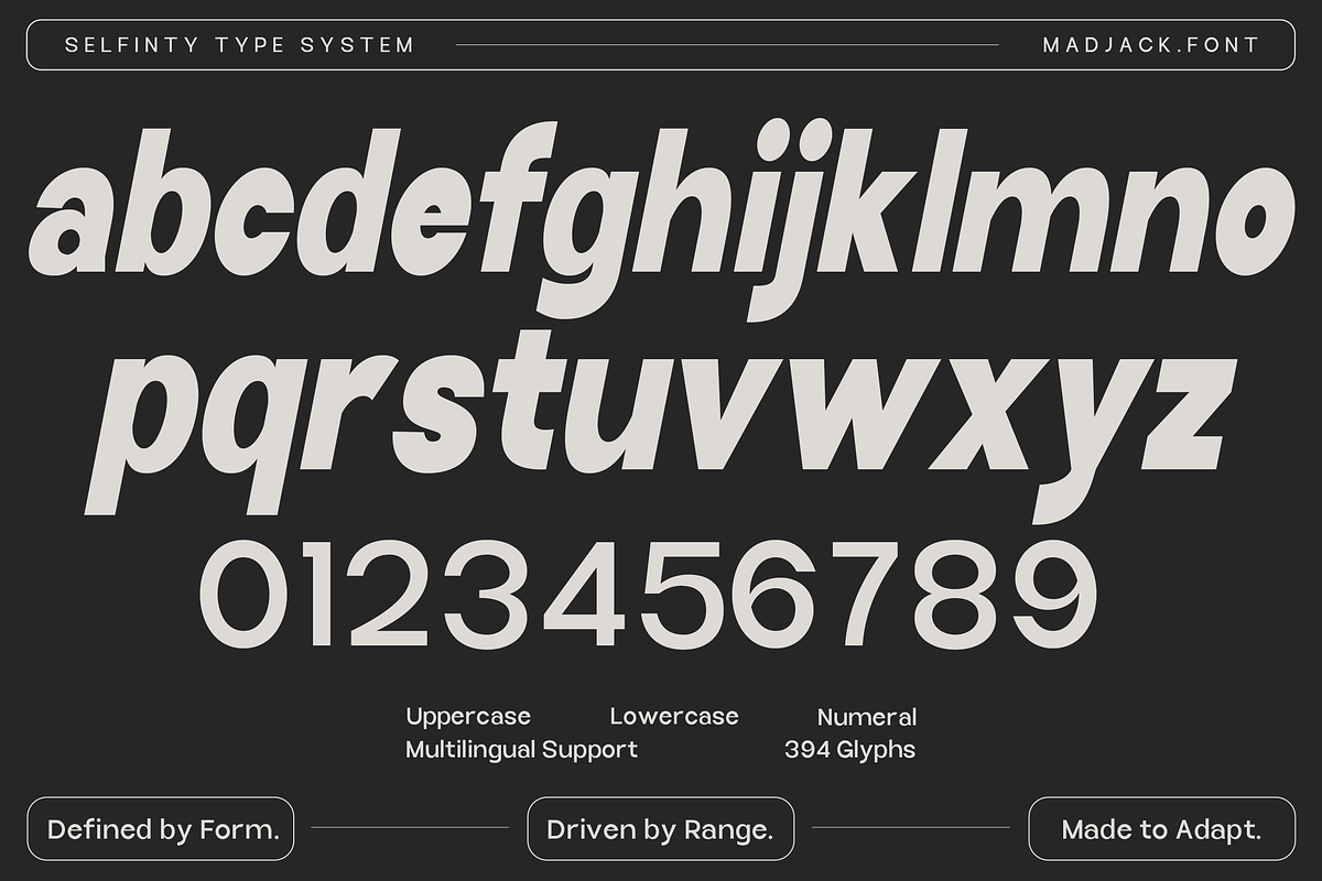 Selfinty Sans - 90 fonts + variable., a Sans Serif Font by Madjack.font (Photo 14 of 15)